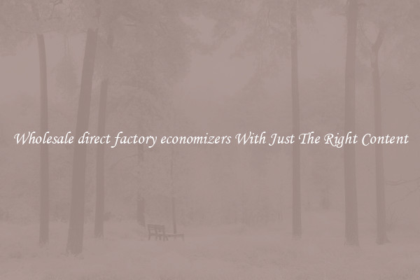 Wholesale direct factory economizers With Just The Right Content