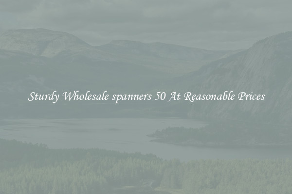 Sturdy Wholesale spanners 50 At Reasonable Prices