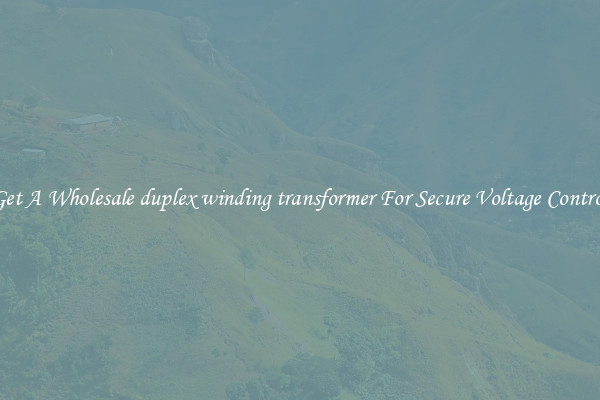 Get A Wholesale duplex winding transformer For Secure Voltage Control