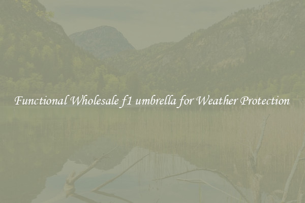 Functional Wholesale f1 umbrella for Weather Protection 
