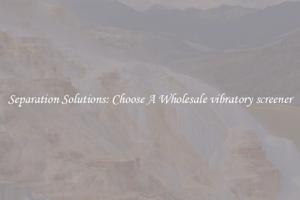 Separation Solutions: Choose A Wholesale vibratory screener