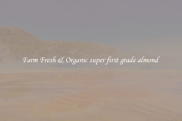 Farm Fresh & Organic super first grade almond 