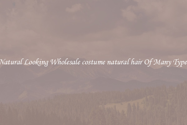 Natural Looking Wholesale costume natural hair Of Many Types