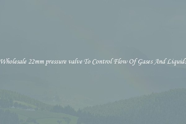 Wholesale 22mm pressure valve To Control Flow Of Gases And Liquids