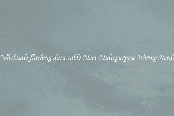 Wholesale flashing data cable Meet Multipurpose Wiring Needs