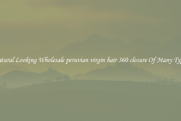 Natural Looking Wholesale peruvian virgin hair 360 closure Of Many Types
