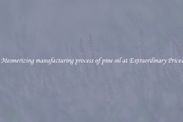 Mesmerizing manufacturing process of pine oil at Extraordinary Prices