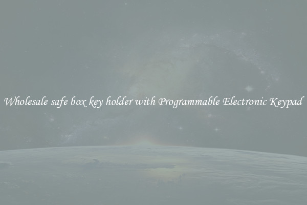 Wholesale safe box key holder with Programmable Electronic Keypad 