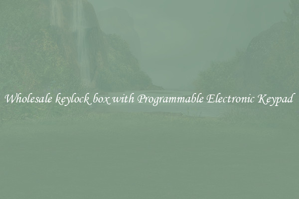 Wholesale keylock box with Programmable Electronic Keypad 