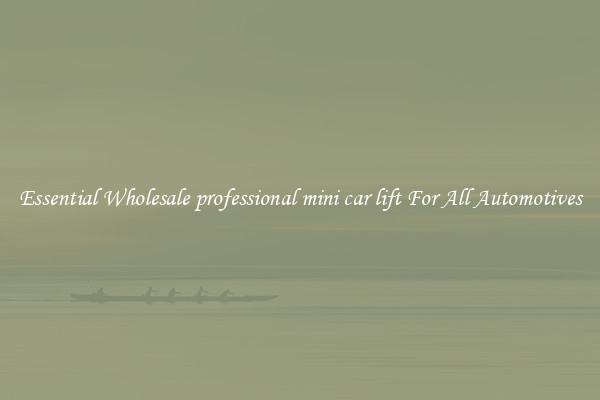 Essential Wholesale professional mini car lift For All Automotives