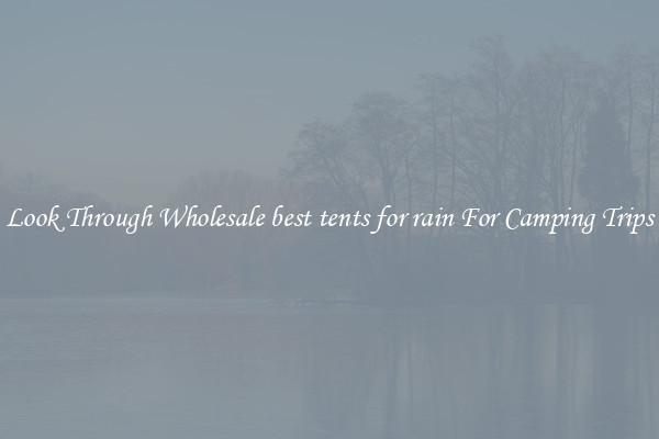 Look Through Wholesale best tents for rain For Camping Trips