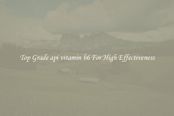 Top Grade api vitamin b6 For High Effectiveness