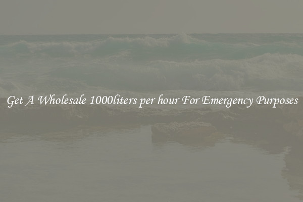 Get A Wholesale 1000liters per hour For Emergency Purposes