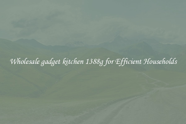 Wholesale gadget kitchen 1388g for Efficient Households